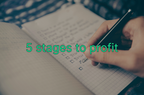 5 Stages of a Profitable Business